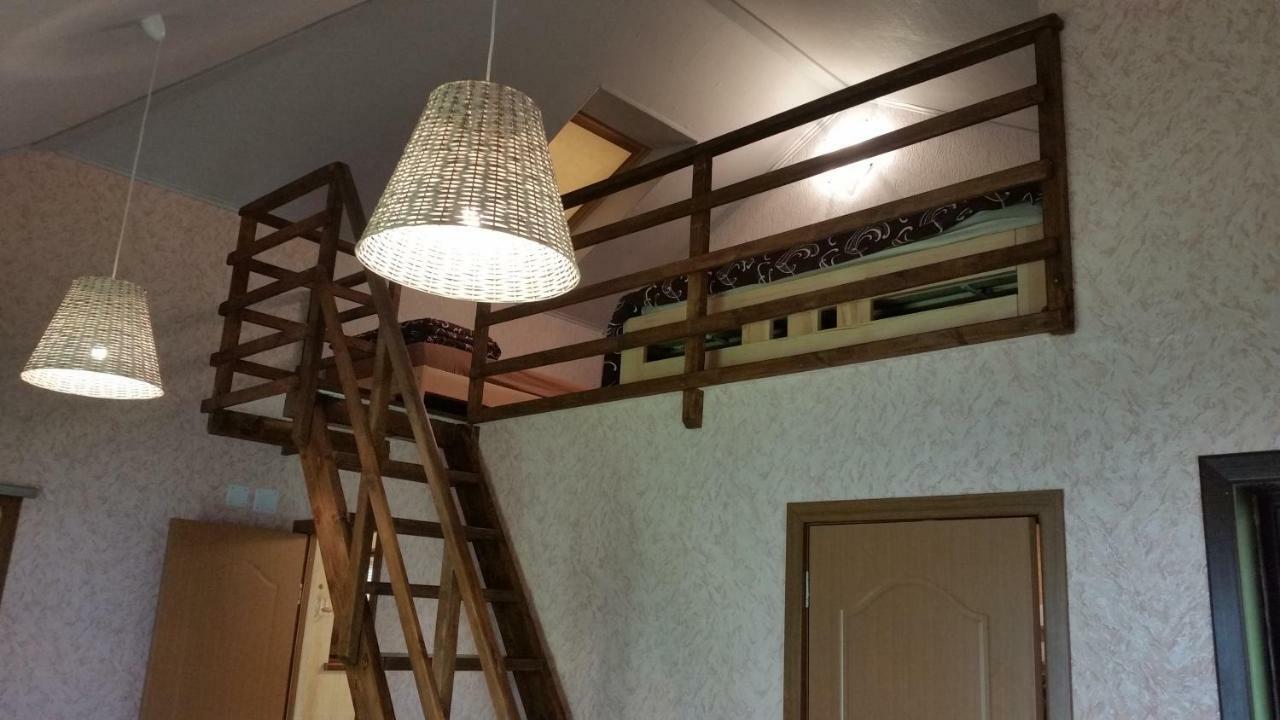 Willa Vasarnamis Zarasuose Jeziorosy Zewnętrze zdjęcie